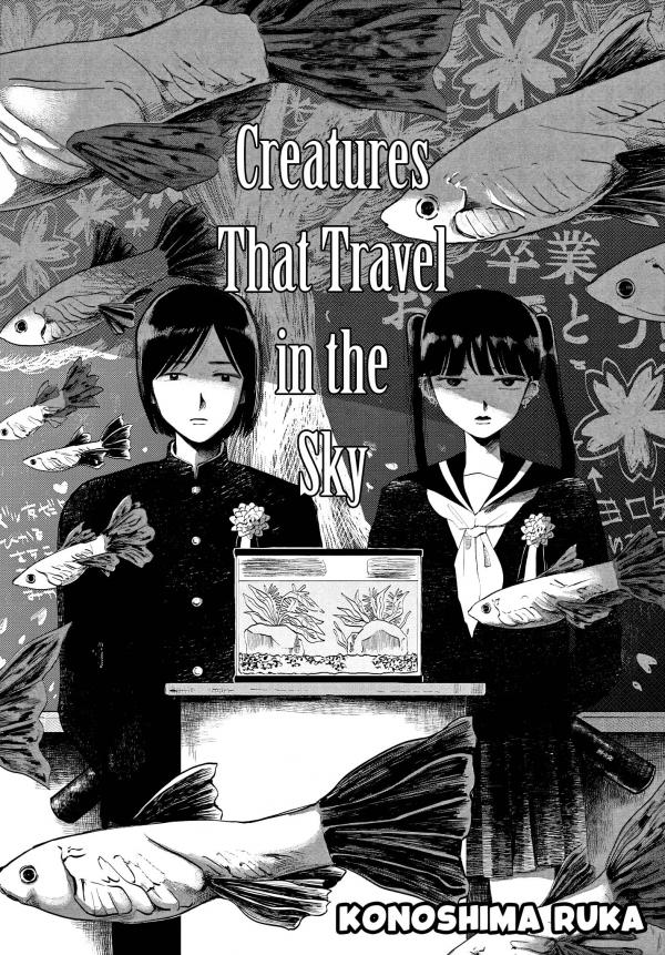 Creatures That Travel In The Sky